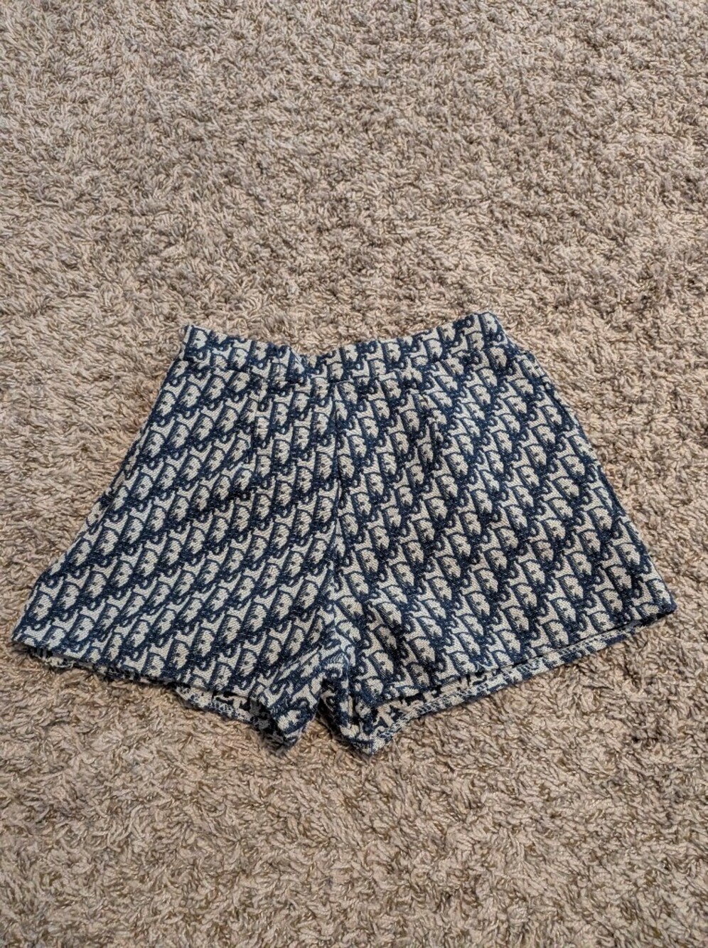 Xs Shorts in Navy and Cream Dior Knockoff